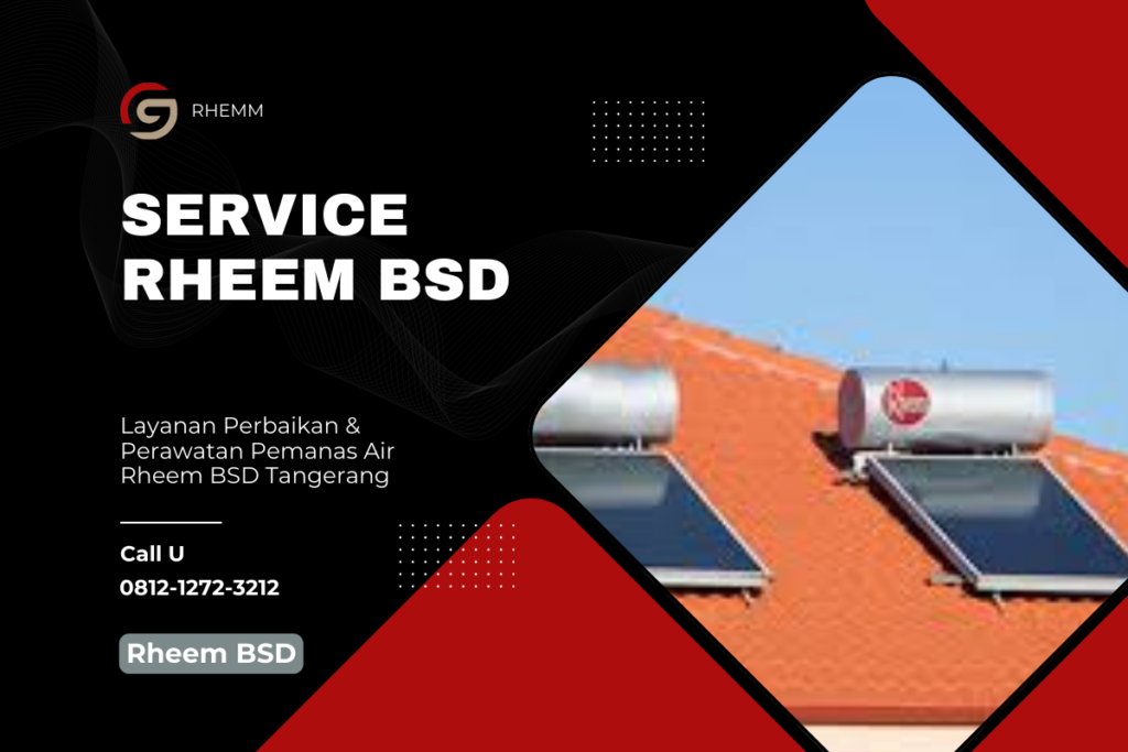 Service Rheem BSD